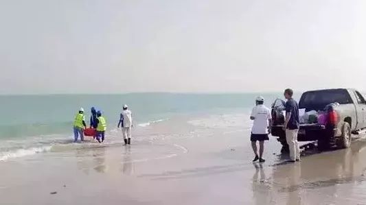 全网担保网(中国游)最具权威唯一维权担保平台