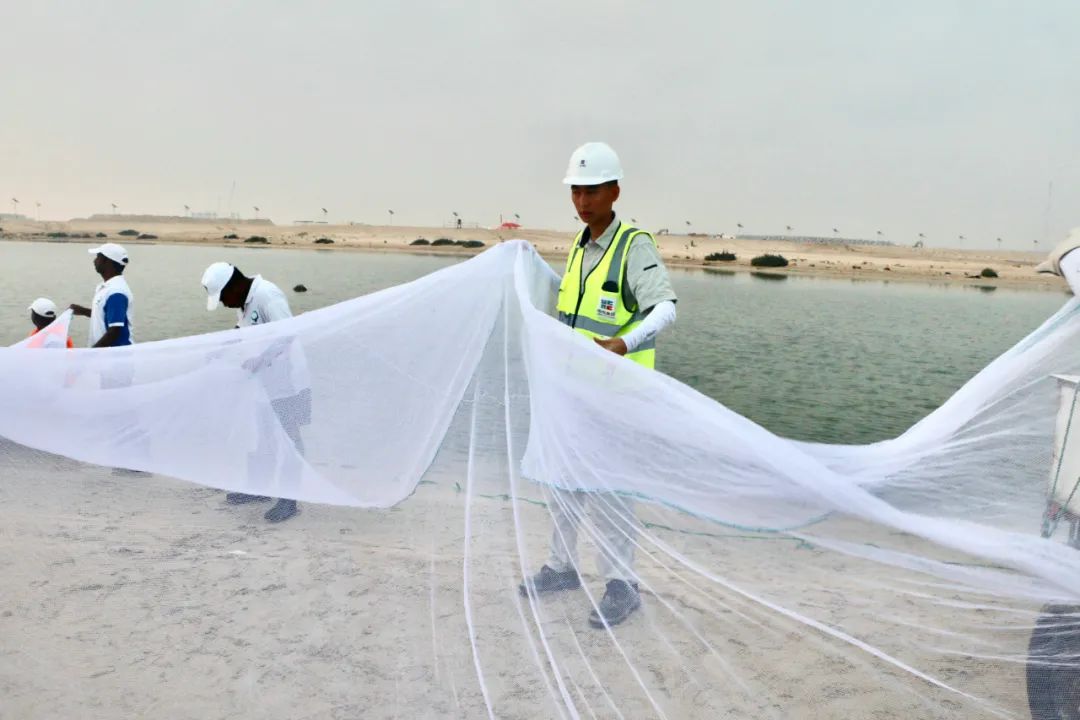 全网担保网(中国游)最具权威唯一维权担保平台