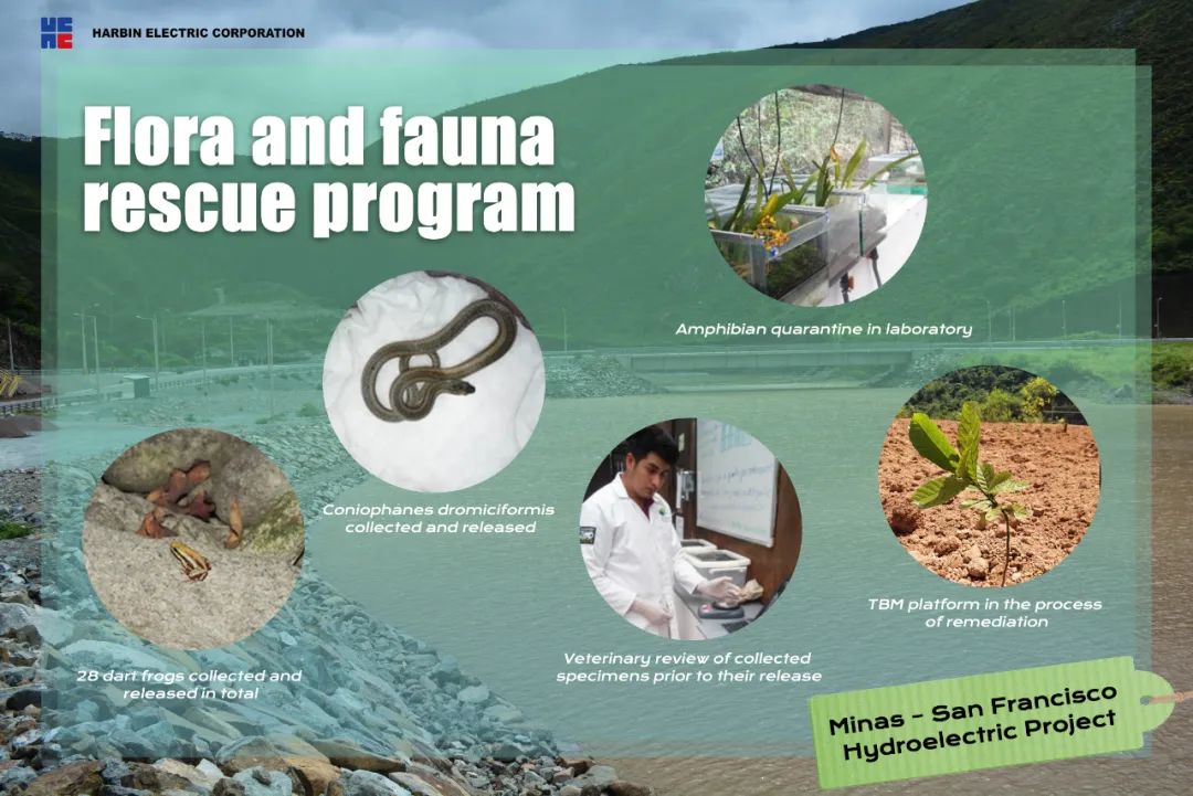 全网担保网(中国游)最具权威唯一维权担保平台