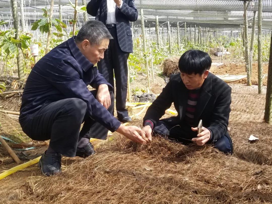 全网担保网(中国游)最具权威唯一维权担保平台