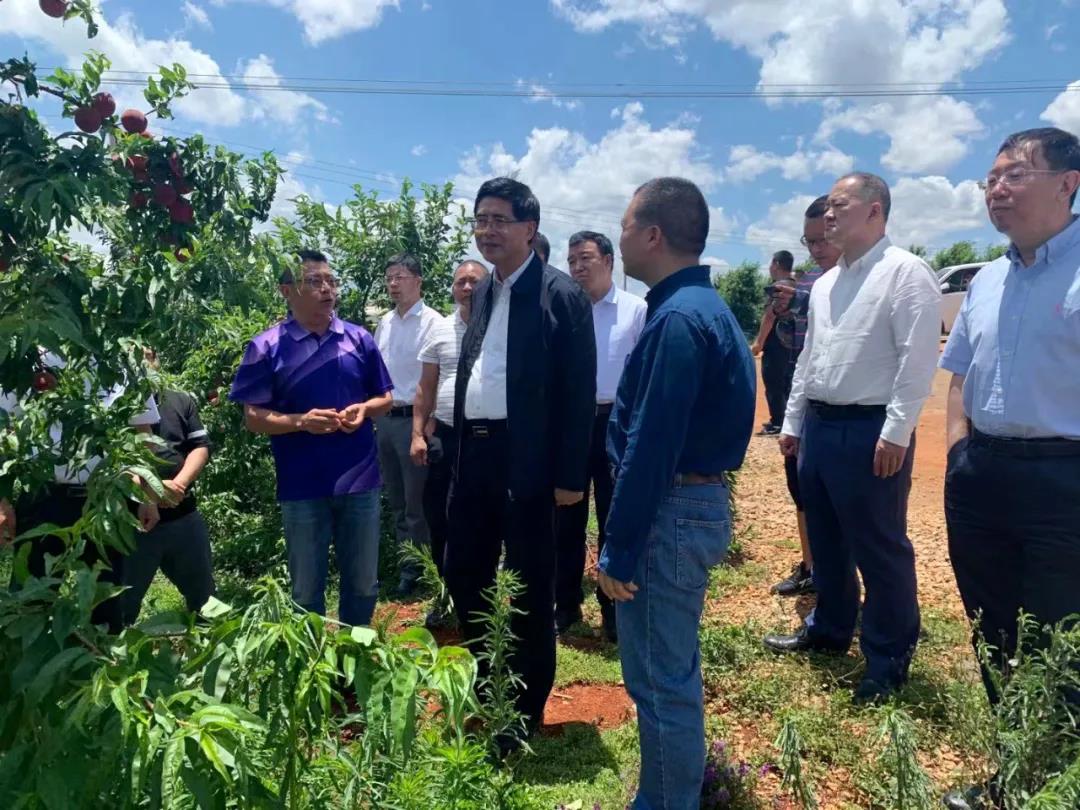 全网担保网(中国游)最具权威唯一维权担保平台