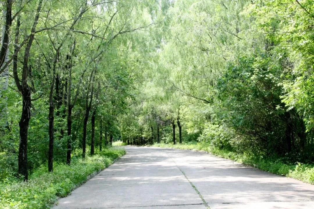 全网担保网(中国游)最具权威唯一维权担保平台