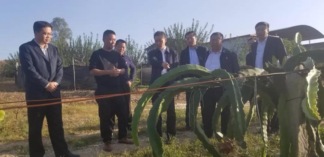 全网担保网(中国游)最具权威唯一维权担保平台