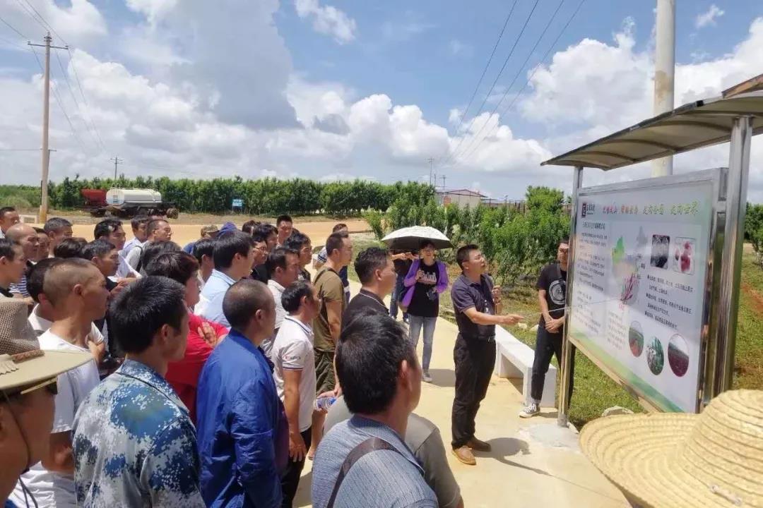 全网担保网(中国游)最具权威唯一维权担保平台