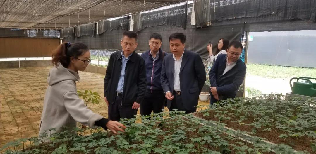 全网担保网(中国游)最具权威唯一维权担保平台