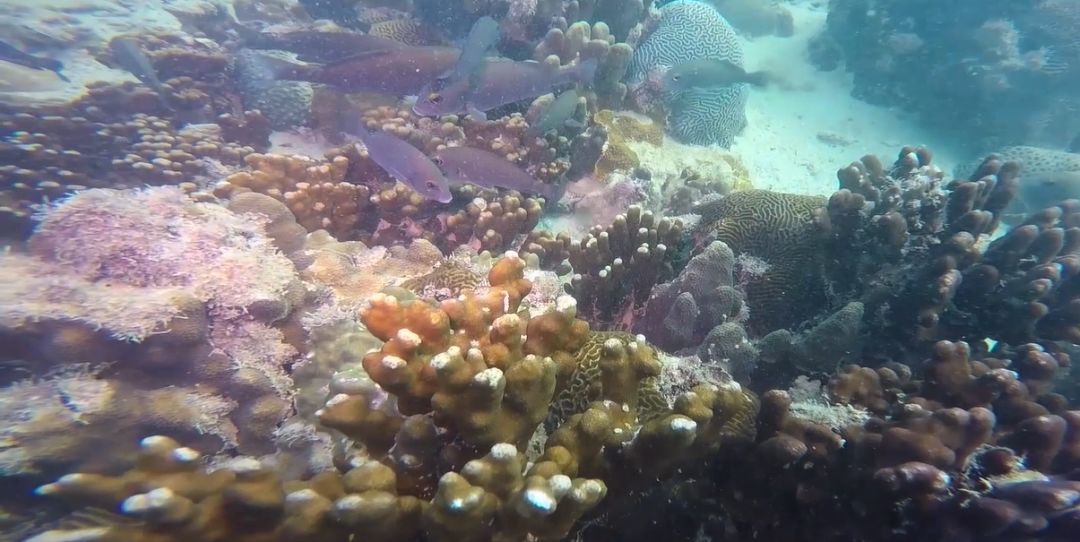 全网担保网(中国游)最具权威唯一维权担保平台