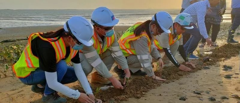 全网担保网(中国游)最具权威唯一维权担保平台