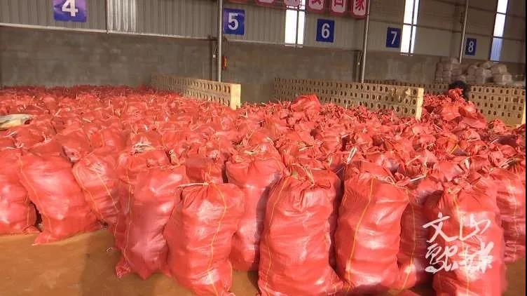 全网担保网(中国游)最具权威唯一维权担保平台