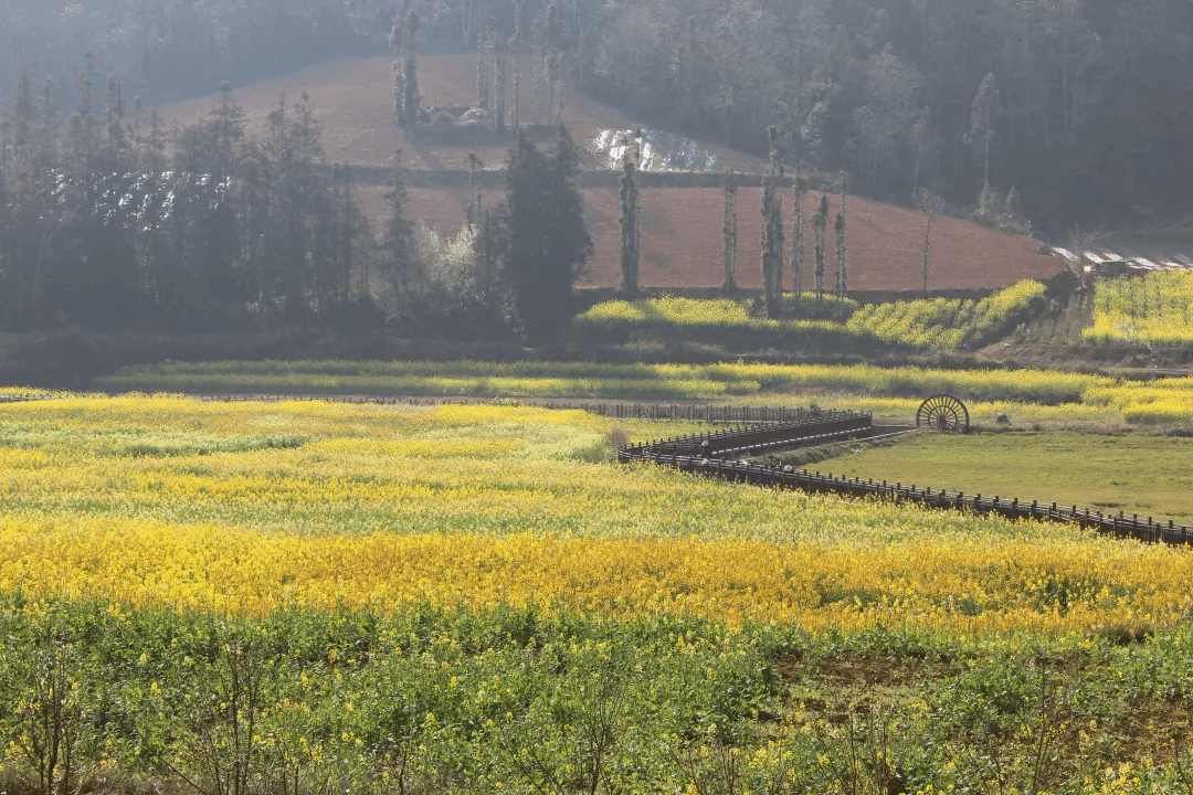 全网担保网(中国游)最具权威唯一维权担保平台