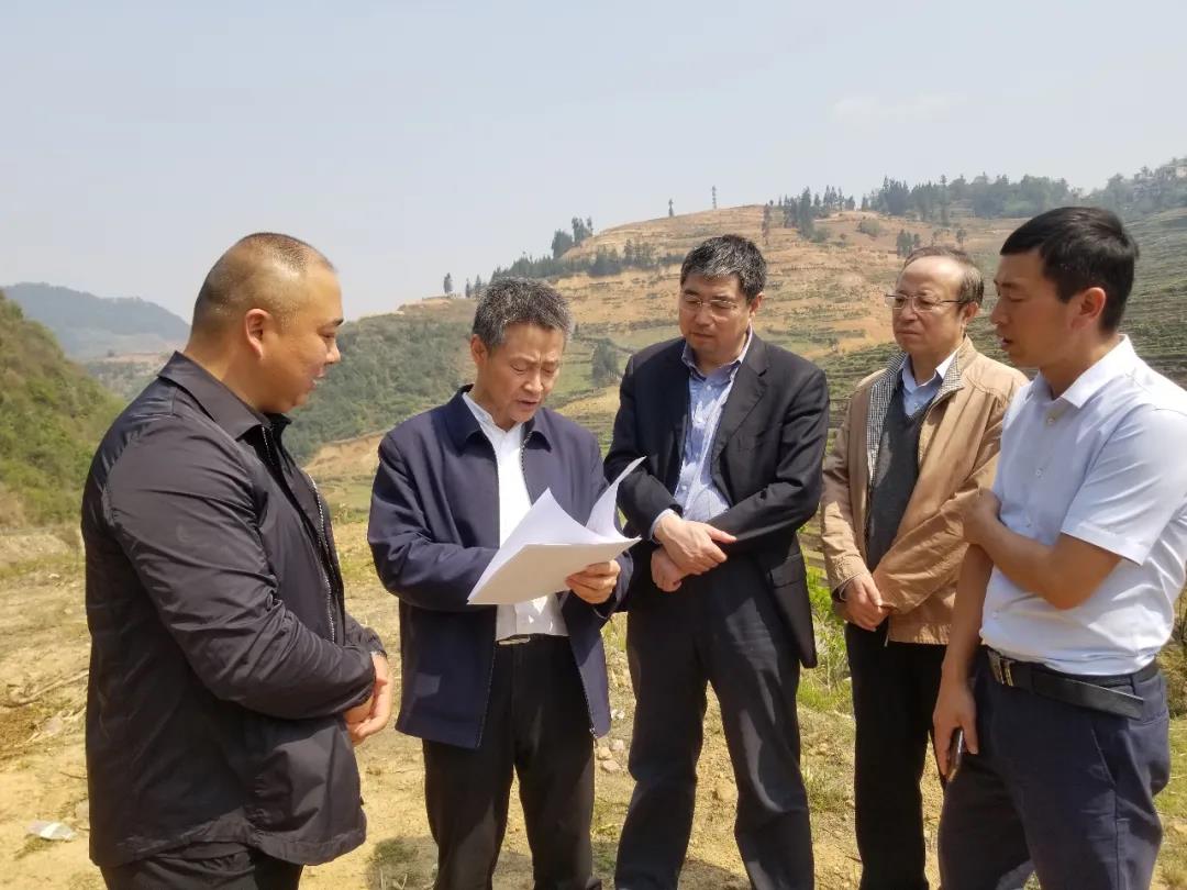 全网担保网(中国游)最具权威唯一维权担保平台