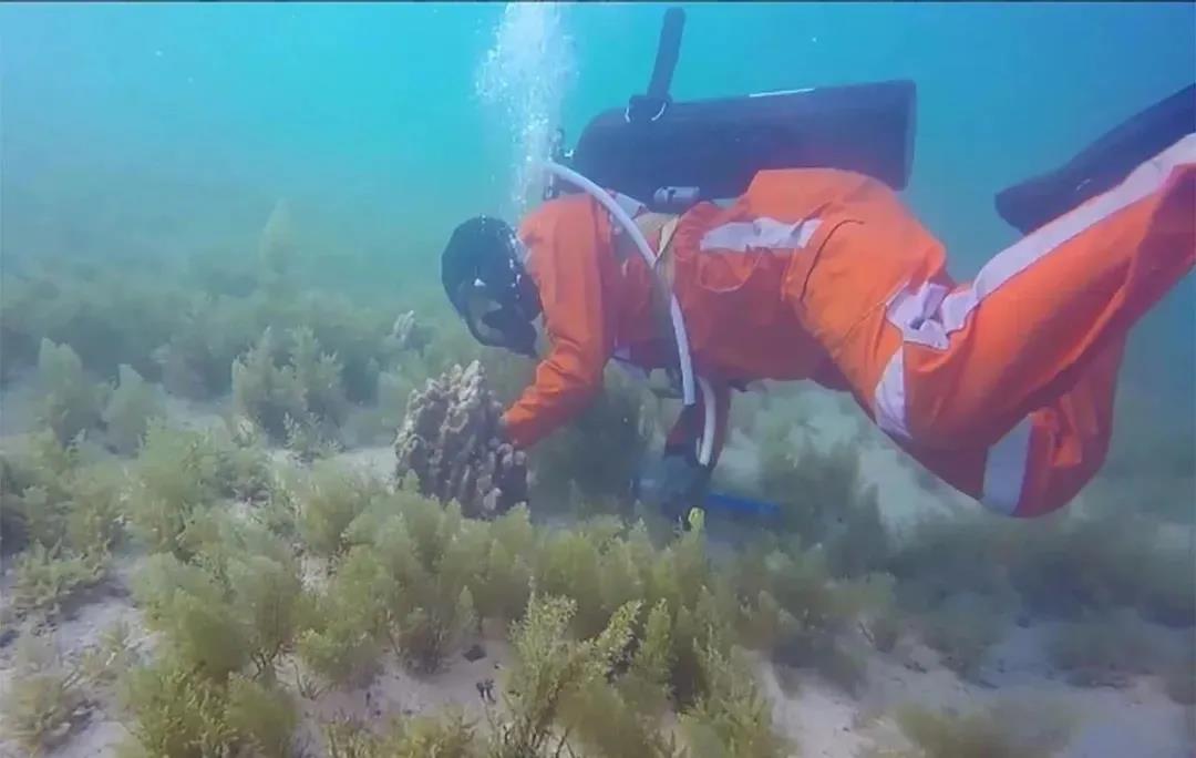 全网担保网(中国游)最具权威唯一维权担保平台