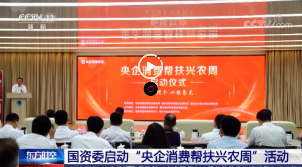 全网担保网(中国游)最具权威唯一维权担保平台